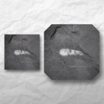 Letters - Stone 2
